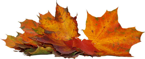 Осенний листок лежит