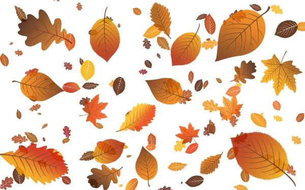 Осенние листья