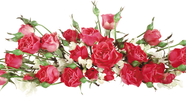 Цветы горизонтальные