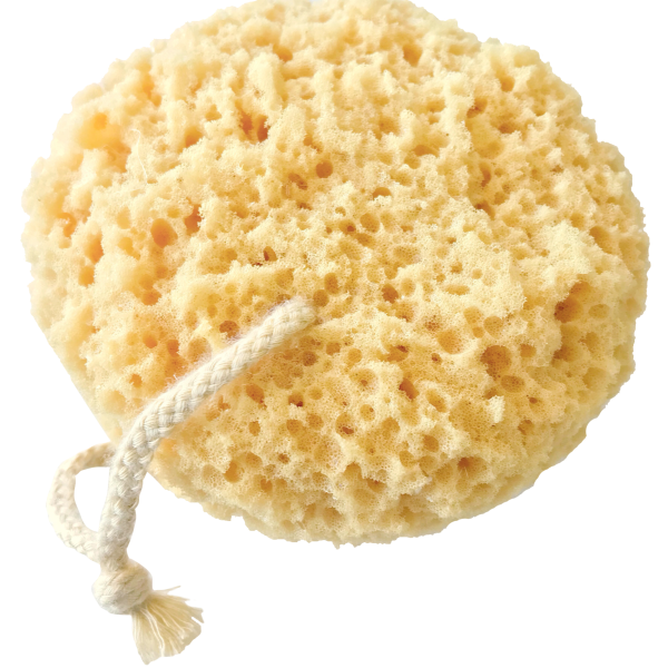 Мочалка на прозрачном фоне