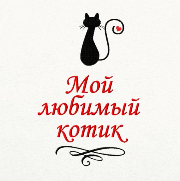 Любимому котику