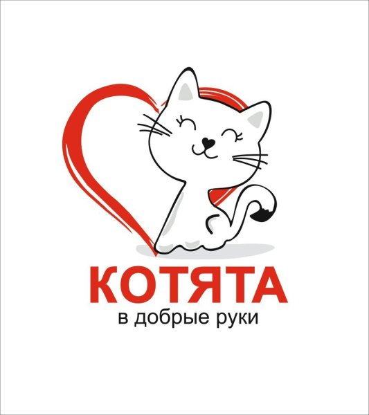 Срочно ищем дом котенку