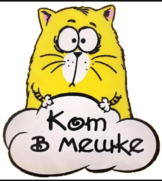 Кот в мешке