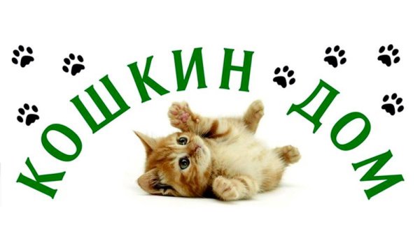 Кошки с надписями