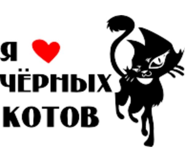 Кот с надписью