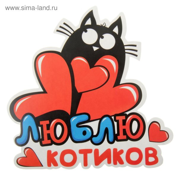 Любимому котику