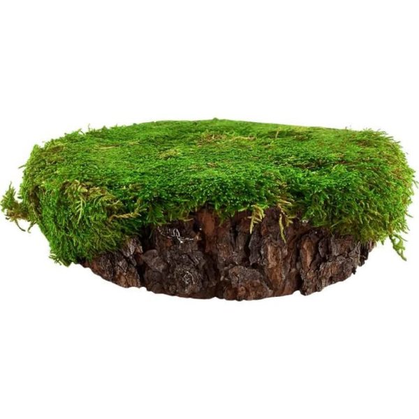 Кусок земли с травой