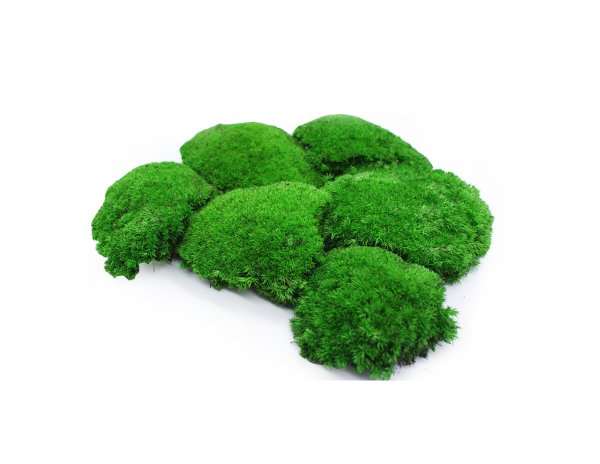 Мох болмос Селект