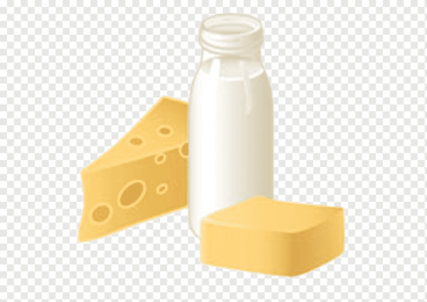 Молоко сыр вектор