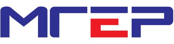 Молодая гвардия Единой России