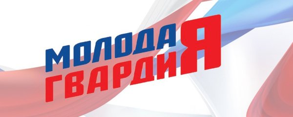Молодая гвардия Единой России эмблема