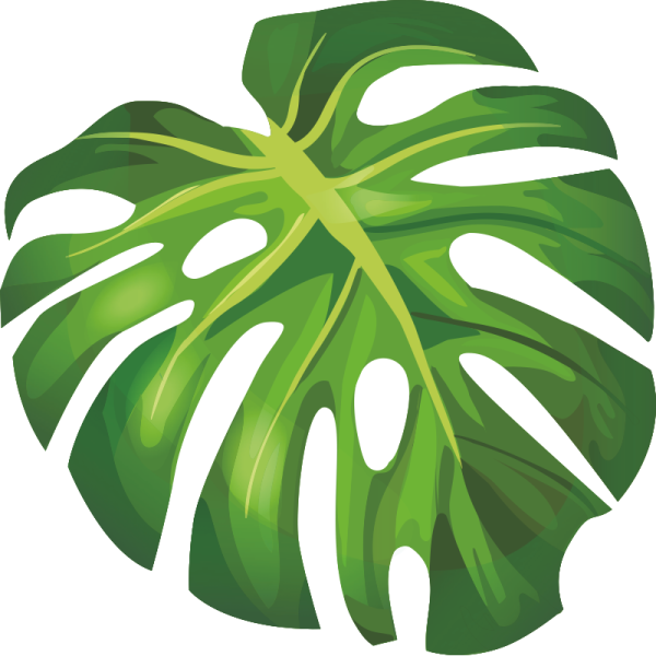 Тропические лист Monstera