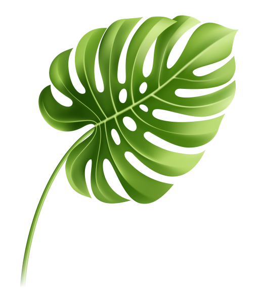 Листики тропические