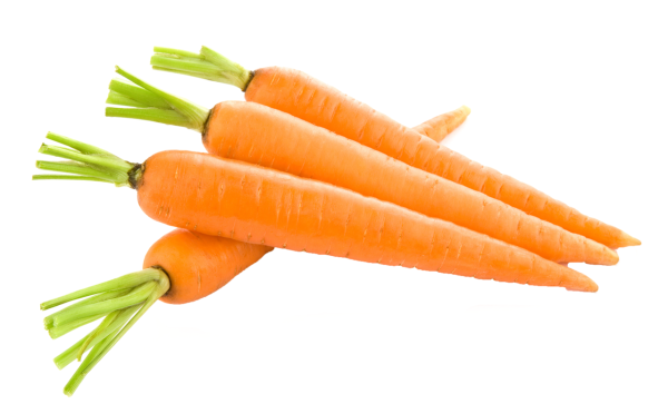Морковь на белом фоне