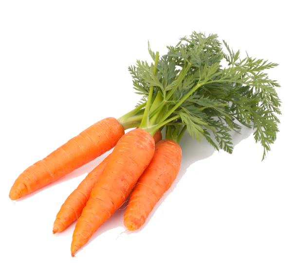 Морковь для детей