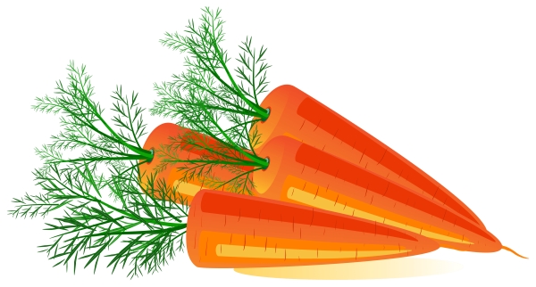 Морковка без фона