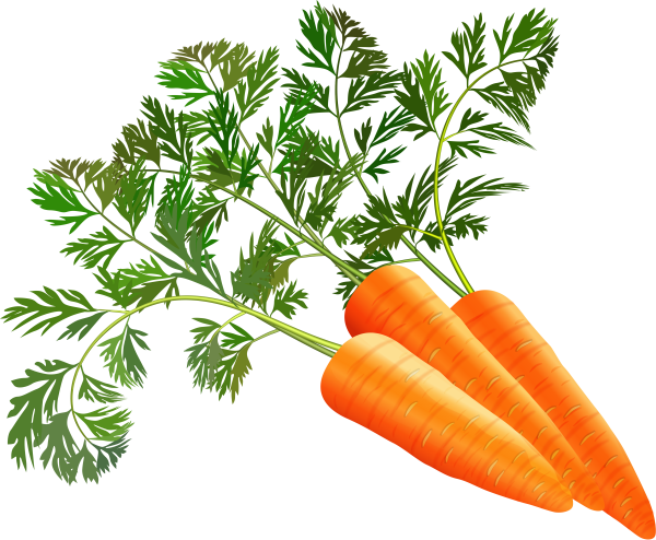 Морковка на прозрачном фоне