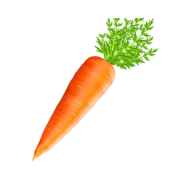 Морковь для дошкольников