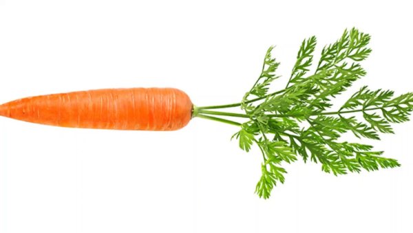 Carrot на прозрачном фоне