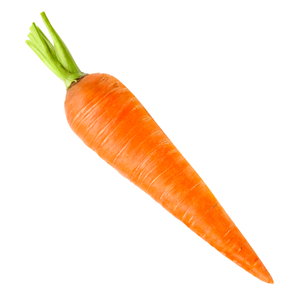 Морковка настоящая