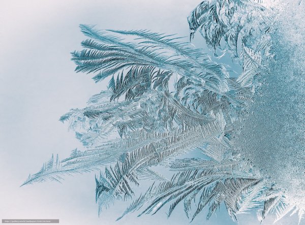 Морозный узор на стекле на прозрачном фоне