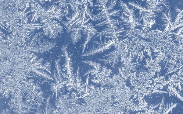 Морозные узоры