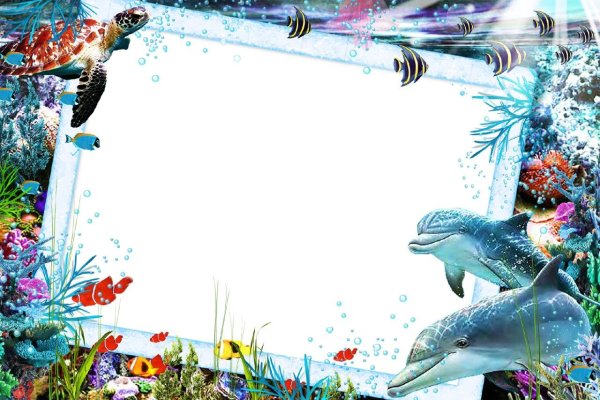 Рамка морские обитатели