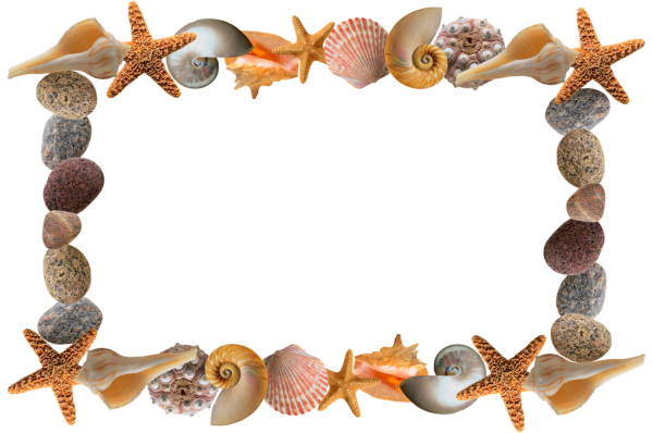 Рамка море