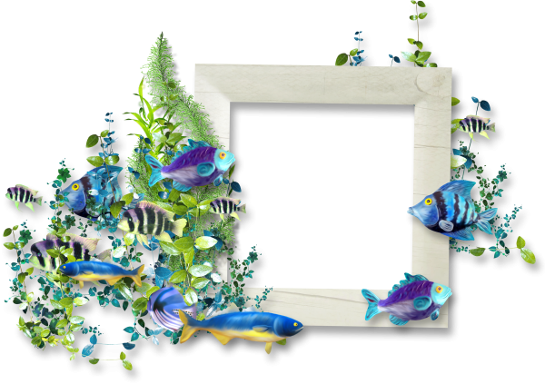 Рамочка морская на прозрачном фоне