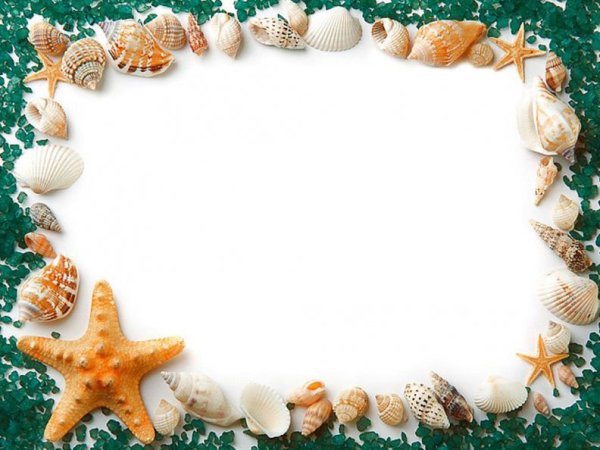 Рамка из ракушек для фотошопа