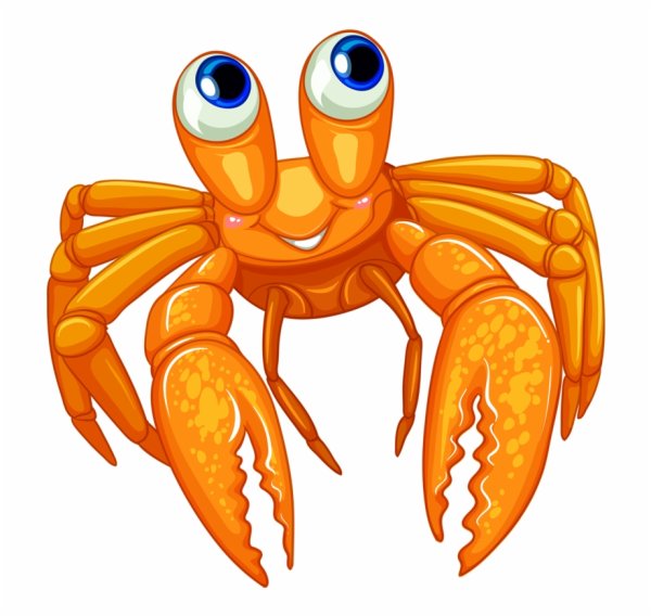 Морские обитатели на прозрачном фоне