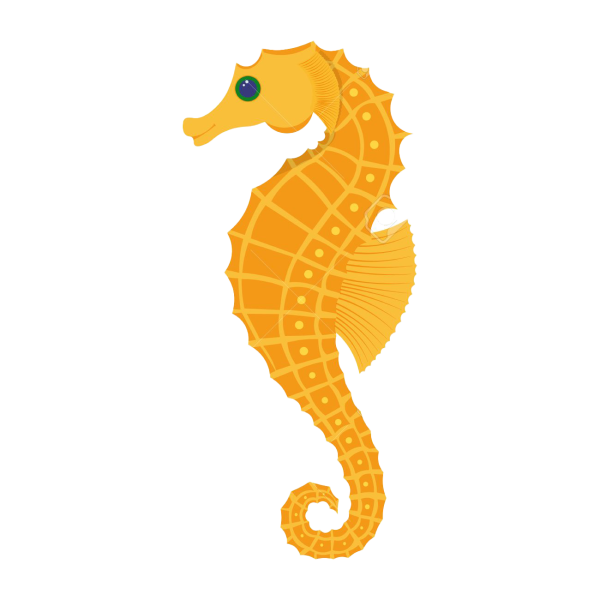 Морской конек для презентации без фона