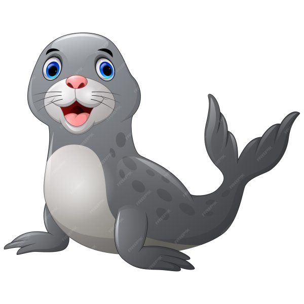 Морской котик для детей