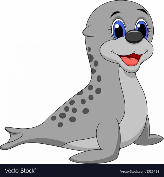 Тюлень картинка для детей