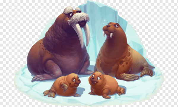 Семья моржей