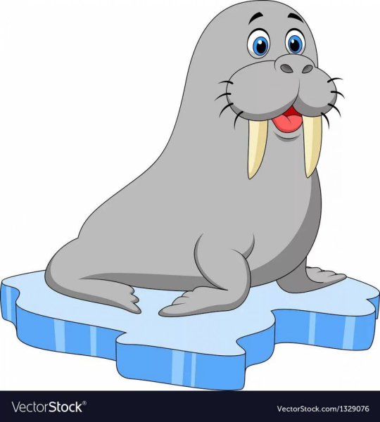 Мультфильм про моржа для детей