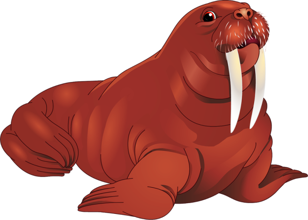 Морж мультяшный