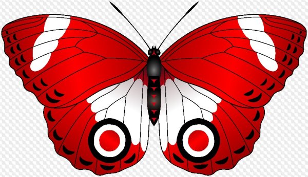 Бабочка рисунок
