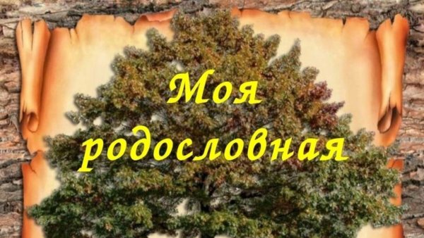 Моя родословная