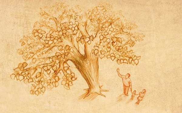 Обложка к фамильному древу