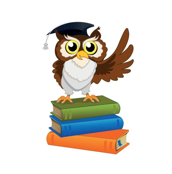 Филин с книгой на белом фоне