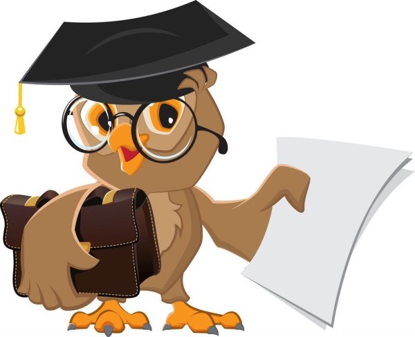 Сова учитель