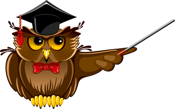 Мудрая Сова