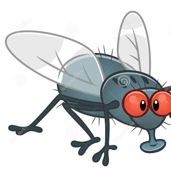 Мультяшная Муха на прозрачном фоне