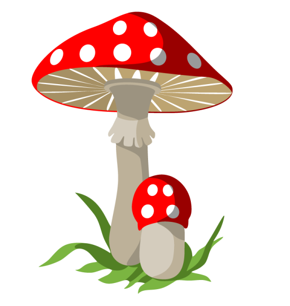 Мухомор на белом фоне