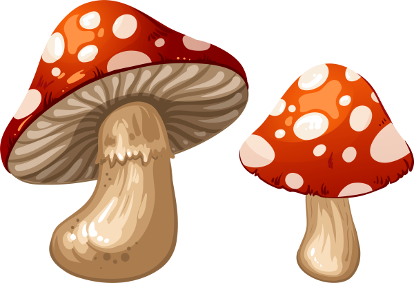 Грибочек мухомор