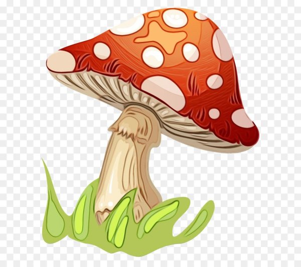 Гриб мультяшный