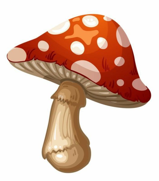 Мухомор вектор