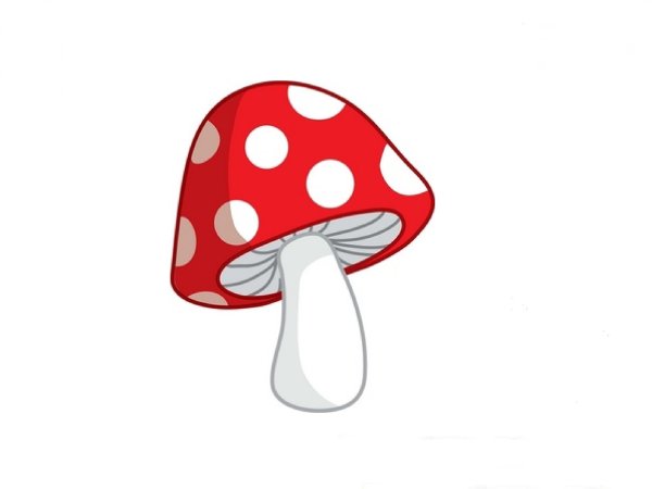 Рисование грибов белый гриб мухомор