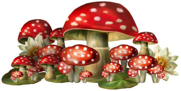 Грибы для фотошопа